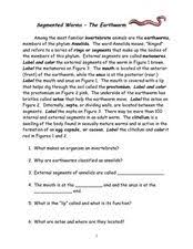 Segmented Worms The Earthworm 6th 10th Grade Worksheet Segmentation Biology Worksheet Earthworms