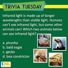 This list of general trivia questions and answers focuses on scientific issues, including, weather, planets, and elements. See If You Can Figure Out The Answer To This Science Trivia Question Triviatuesday Answer Here Https Www Facebook Trivia Tuesday Trivia Paper Clutter