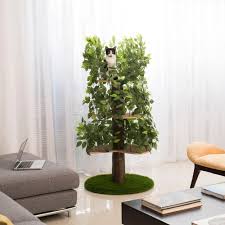 Easy returns · everyday free shipping* · 5% rewards with club o Archie Oscar 60 Henrietta Cat Tree Reviews Wayfair