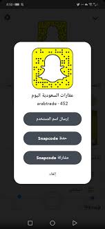 شبكة سيدات مصر