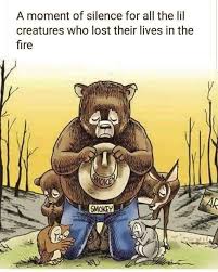 Pray For Australia Moment Of Silence Smokey The Bears Animals