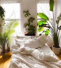 Bedroom Boho Bohemian Plants Houseplants Simple White Home Decor Bohohomes Bohemian I Bedroom Design Space Themed Bedroom Bedroom Inspirations