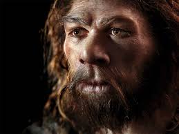 Lucy" Wasn't Alone? Had Neighbors in Trees, Fossil Foot Suggests