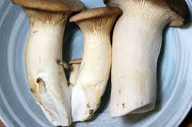 How to cut oyster mushrooms. Ingredient Spotlight King Trumpet Mushrooms Kitchn