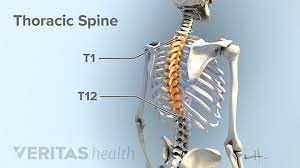 You may also have feelings in your legs or but for ongoing back pain, doctors will try other treatments first. All About Upper Back Pain
