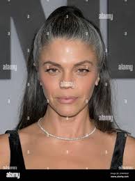 11 vanessa hi-res stock photography and images