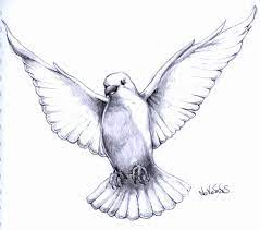 Pin On Drawing
