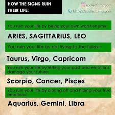 Completely Unrelated But I Was Just Scrolling Through These Things And I Mean Dan Is Gemini And Phil Is Aquarius And T Zodiac Facts Zodiac Signs My Zodiac Sign