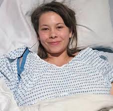 Newsner.com - Prayers are needed for Steve Irwin's daughter Bindi. She is  on her way to recovery but prayers will help a lot. Check the comments 💔  🙏🏻 | Facebook