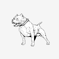 Handdraw Lineart Pitbull Standing Pitbull Clipart Dog Pitbull Png Transparent Clipart Image And Psd File For Free Download Pitbull Drawing Pitbull Art Dog Drawing