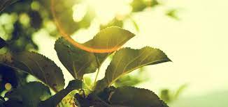 Your home provides refuge for you and your family. Suburban Roofing