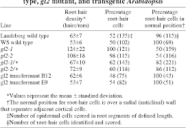 As the predominant cell type, they constitute 80% of the cellular population found in the epidermis. Pdf The Homeobox Gene Glabra2 Is Required For Position Dependent Cell Differentiation In The Root Epidermis Of Arabidopsis Thaliana Semantic Scholar