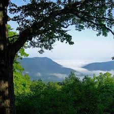 Wv corner kitchenwv corner kitchenwv corner kitchen. Cook S Country Kitchen White Sulphur Springs Menu Prices Restaurant Reviews Tripadvisor