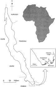 Separate analyses of surface warming rates estimated from in situ instruments, satellites, and a paleolimnological temperature proxy (tex86) disagree. Map Showing Lake Tanganyika Africa And The Location Of The Field Download Scientific Diagram