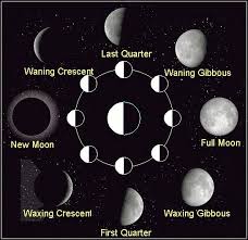 Moon Phases Diagram Space Astronomy Pictures Photos