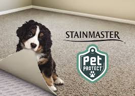 The carpeting resists stains better, and it can be cleaned aggressively with bleach when accidents do happen. Stainmaster Petprotect Carpet To Woo Pet Owners News Floor Covering Weekly