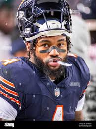 Wulf 4 hi-res stock photography and images