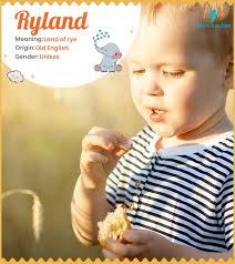 Ryland Name, Meaning, Origin, History, And Popularity