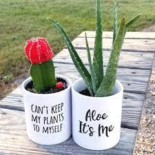 Planter Gift Small Succulent Planter White Ceramic Planter Small Plant Pot Small Potted Plants Planter Gift Plants