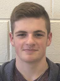 2017-18 All-Livingston County boys swimming and diving