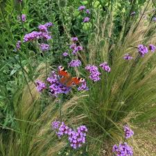 Check spelling or type a new query. Warren John Brace Garden Design Home Facebook