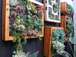 We did not find results for: How To Grow A Vertical Succulent Garden World Of Succulents