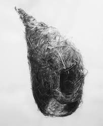 Saatchi Art Bird Nest No 10 Drawing By Liu Ling Charcoal Drawing Nature Drawing Epic Drawings