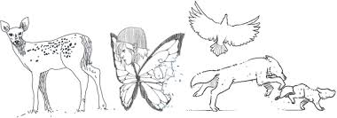 If your child loves interacting. Animal Symbolism Life Is Strange Wiki Fandom