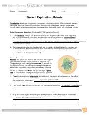 Important questions from cell division meiosis for net life science exam. Meiosisse Pdf Name Date Student Exploration Meiosis Vocabulary U200b U200b Anaphase Chromosome Crossover Cytokinesis Diploid Dna Dominant Gamete Genotype Course Hero