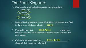 We did not find results for: What Are Plants Importance Of Plants W Without Plants Life On Earth Would Not Exist Ppt Download