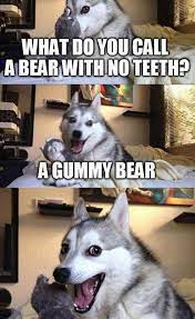 What Do You Call A Bear With No Teeth Ladblab
