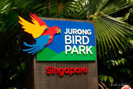 There's a multitude of exotic and endangered southeast asian breeds, along with pelicans, penguins, flamingoes, toucans, and a whole lot more. Me In Blogland A Date With The Birds At Jurong Bird Park Singapore