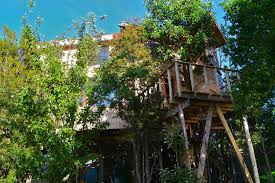 Dormir en medio de la selva amazónica de forma totalmente segura es posible gracias a la casa en el árbol, en la reserva ecológica tanimboca. La Casa Del Arbol De Chiloe Castro Updated 2020 Prices
