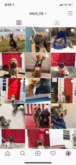 Maybe you would like to learn more about one of these? Brooklyn Heights Veterinary Hospital Home Facebook
