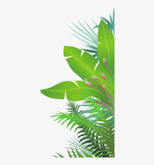 See jungle leaves stock video clips. Jungle Leaves Jungle Leaf Png Png Image Transparent Png Free Download On Seekpng