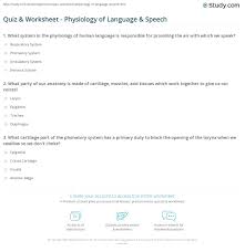 The language of anatomy (worksheet). Language Of Anatomy Worksheet Anatomy Drawing Diagram