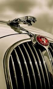 Jaguar Voiture Jaguar Logo Voitures Ornements De Capot