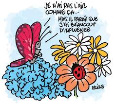 images?q=tbn:ANd9GcRjGz-60A52HOskHvMAZyE