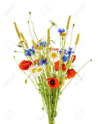 Cette collection révolutionnaire utilise plusieurs éléments en plastique d'origine. Bouquet De Belles Fleurs Cornflowers Camomiles Ble Et Coquelicots Isoles Sans Ombre Banque D Images Et Photos Libres De Droits Image 72402967