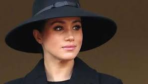 Emily andrews, the royal editor at the mail commented: Meghan Markle May Use Friendship With Kamala Harris And Obamas To Promote Her Political Ambitions