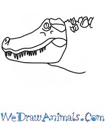 Maybe you would like to learn more about one of these? How To Draw An Alligator Head