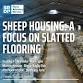 Sheep Housing: A Focus on Slatted Flooring event image