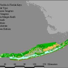 Pdf Ecological Conceptual Models Florida Keys