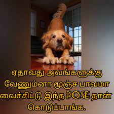 Pin By Durga D A On Dogs Tamil Love Quotes Love Quotes Poses