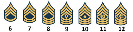 Bundeswehr test online üben ▻ ▻ bit.ly/bundeswehrkurs bundeswehr einstellungstest buch. Dienstgrade Der Us Army Militar Wissen