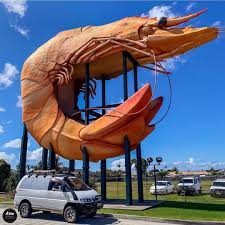 The Big Prawn Located In Ballina New South Wales Australia New South Wales Roadside Attractions New South