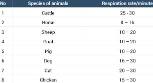 The Respiratory Rate Of Domestic Animal Per Minute