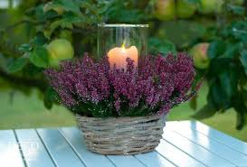 Diy Hubsche Herbst Windlichter Mit Pflanzen Diy Flowergardendecordiy Herbstwindlichter Hubsche Mit Pflanzen In 2020