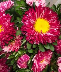 Whether you'er a professional florist but unlike some cities, philadelphia i needed wholesale flowers for an event i was planning in philadelphia. Pulley Wholesale Florist Home Facebook