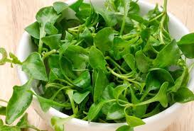 فوائد الجرجير للشعر وأهم وصفاته موقع مصري Watercress Culinary Herbs Edible Wild Plants